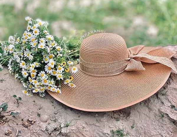خواص بابونه برای رحم خواص دمنوش بابونه برای مردان خواص بابونه برای قاعدگی خواص بابونه برای روده خواص بابونه و آویشن خواص بابونه برای معده خواص بابونه برای سرماخوردگی خواص بابونه و نبات