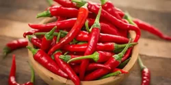 خواص فلفل قرمز برای مردان و زنان و پوست و مو و کبد چرب