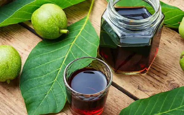 خواص عرق برگ گردو برای مردان و زنان و پوست و مو و کبد چرب