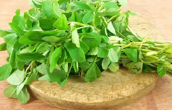 خواص برگ شنبلیله برای مردان و زنان و پوست و مو و کبد چرب