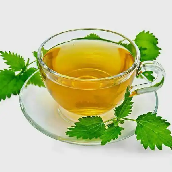 خواص چای گزنه برای مردان و زنان و پوست و مو و کبد چرب