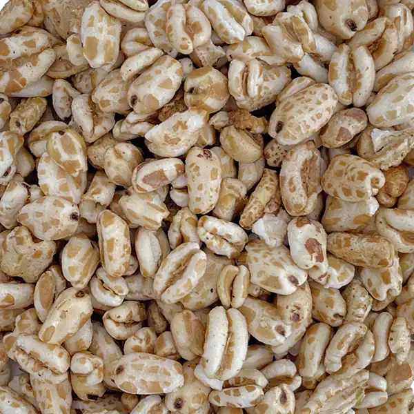خواص گندمک برای مردان و زنان و پوست و مو و کبد چرب