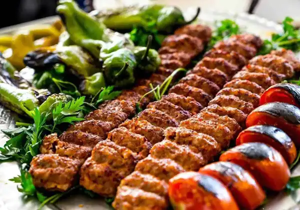 خواص کباب برای مردان و زنان و پوست و مو و کبد چرب