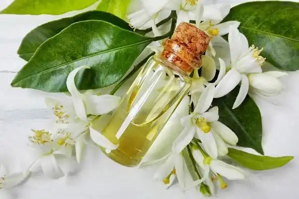 خواص عرق بهار نارنج برای مردان و زنان و پوست و مو و کبد چرب