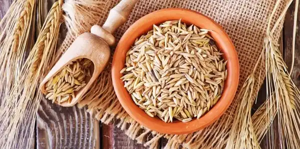 خواص بلغور جو دوسر برای مردان و زنان و پوست و مو و کبد چرب