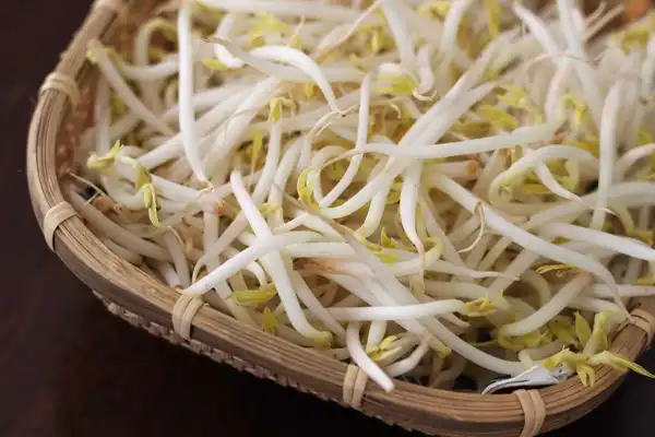 خواص جوانه سویا برای مردان و زنان و پوست و مو و کبد چرب