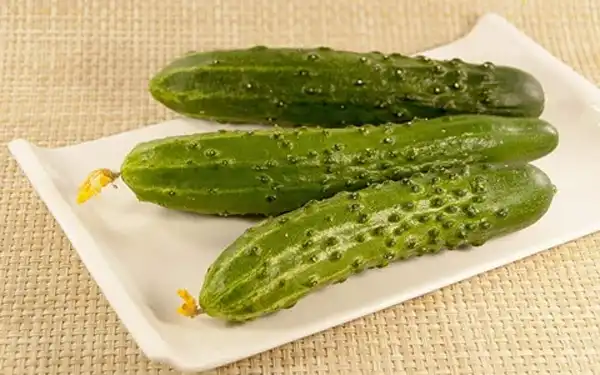 خواص خیار خاردار برای مردان و زنان و پوست و مو و کبد چرب