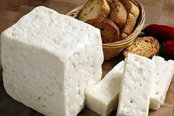خواص پنیر گوسفندی برای مردان و زنان و پوست و مو و کبد چرب