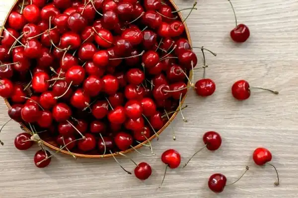 خواص روغن هسته آلبالو برای مردان و زنان و پوست و مو و کبد چرب