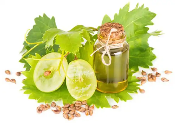 خواص روغن هسته انگور برای مردان و زنان و پوست و مو و کبد چرب