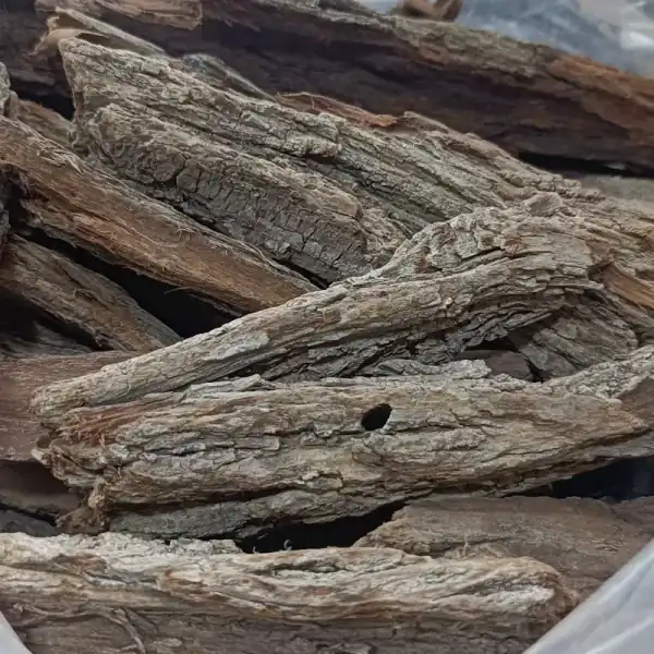 خواص پوست بید برای مردان و زنان و پوست و مو و کبد چرب