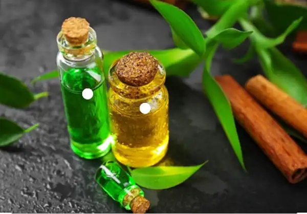 خواص روغن چای سبز برای مردان و زنان و پوست و مو و کبد چرب