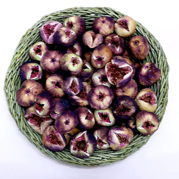 عوارض انجیر کوهی خیراندیش در طب سنتی برای مردان و زنان