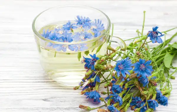 عوارض عرق کاسنی خیراندیش در طب سنتی برای مردان و زنان