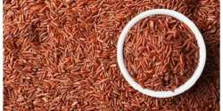 عوارض برنج قرمز خیراندیش در طب سنتی برای مردان و زنان