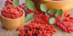 عوارض دمنوش زرشک خیراندیش در طب سنتی برای مردان و زنان