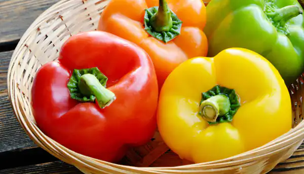 عوارض فلفل دلمه ای خیراندیش در طب سنتی برای مردان و زنان