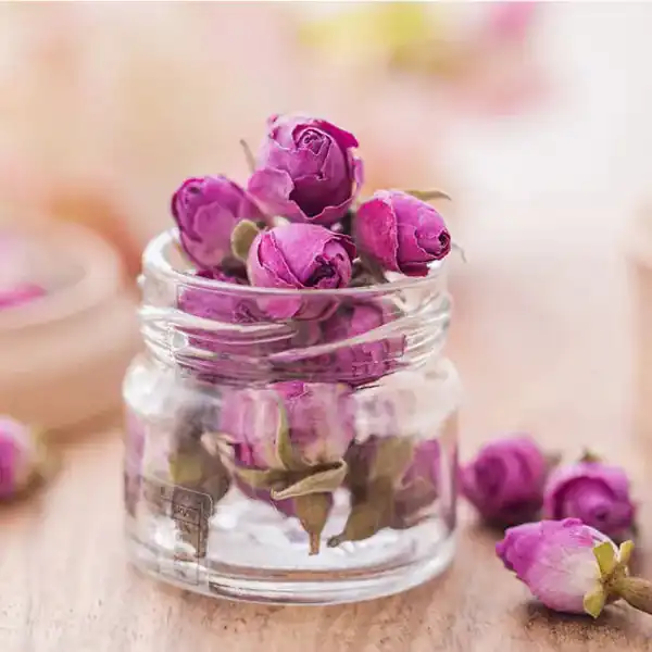 عوارض غنچه گل محمدی خیراندیش در طب سنتی برای مردان و زنان