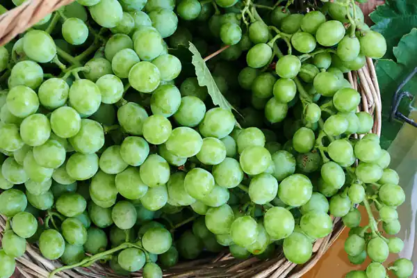 عوارض غوره خیراندیش در طب سنتی برای مردان و زنان