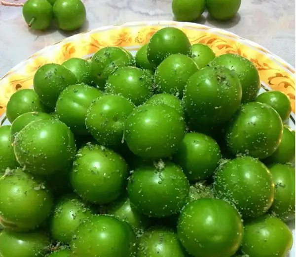 عوارض گوجه سبز خیراندیش در طب سنتی برای مردان و زنان