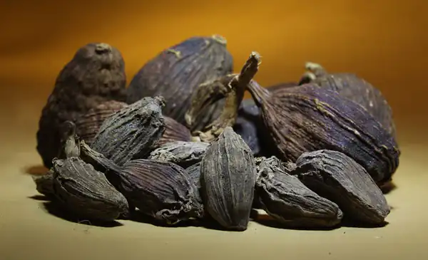 عوارض هلیله سیاه خیراندیش در طب سنتی برای مردان و زنان