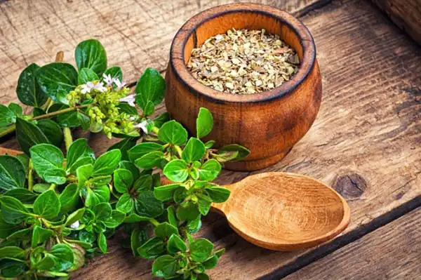 عوارض مرزنجوش خیراندیش در طب سنتی برای مردان و زنان
