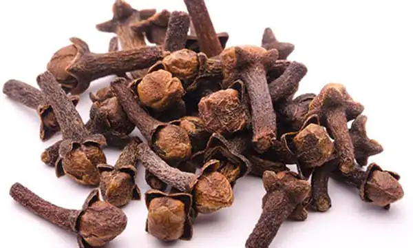 عوارض میخک خیراندیش در طب سنتی برای مردان و زنان