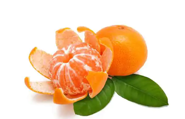 عوارض نارنگی خیراندیش در طب سنتی برای مردان و زنان