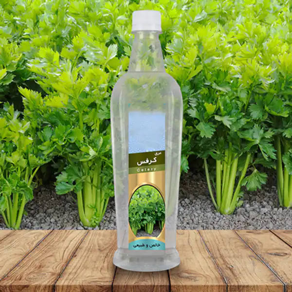عوارض روغن کرفس خیراندیش در طب سنتی برای مردان و زنان