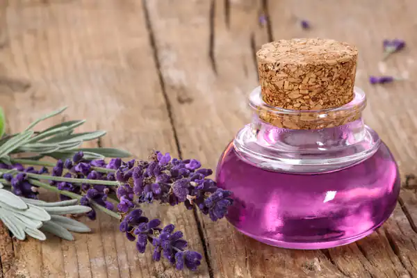 عوارض روغن اسطوخودوس خیراندیش در طب سنتی برای مردان و زنان