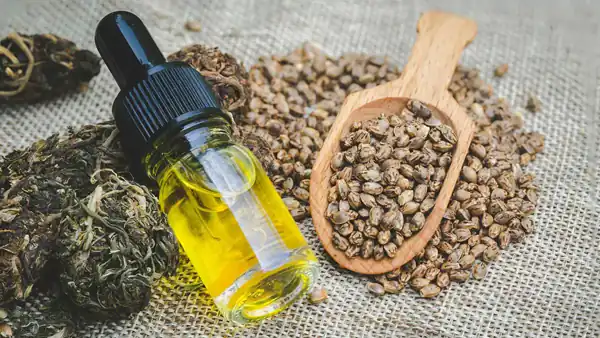 عوارض روغن شاهدانه خیراندیش در طب سنتی برای مردان و زنان