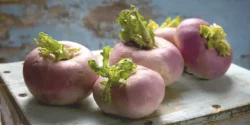 عوارض شلغم فرنگی خیراندیش در طب سنتی برای مردان و زنان