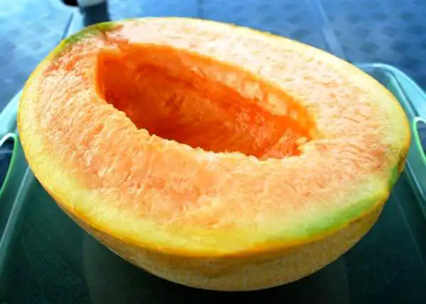 عوارض طالبی یوباری خیراندیش در طب سنتی برای مردان و زنان