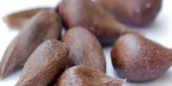 خواص به دانه برای مردان و زنان و پوست و مو و کبد چرب