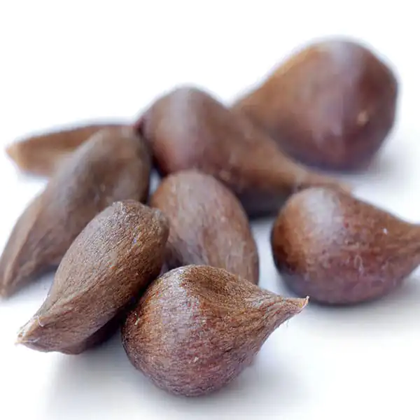 خواص به دانه برای مردان و زنان و پوست و مو و کبد چرب