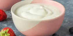 عوارض ماست پروبیوتیک خیراندیش در طب سنتی برای مردان و زنان