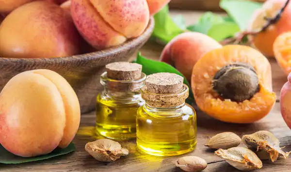 خواص روغن هسته زردآلو برای مردان و زنان و پوست و مو و کبد چرب