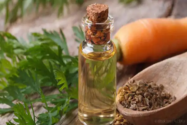 خواص روغن هویج برای مردان و زنان و پوست و مو و کبد چرب