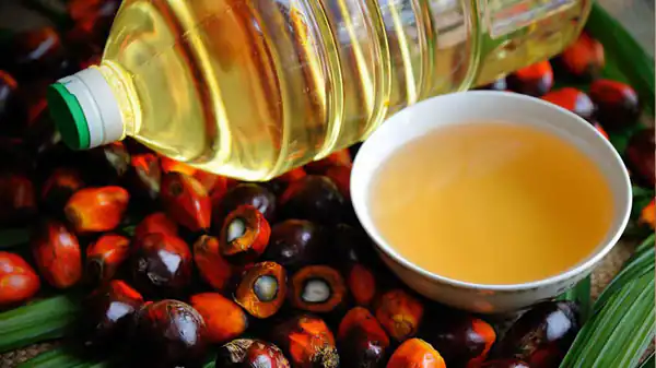 خواص روغن پالم برای مردان و زنان و پوست و مو و کبد چرب