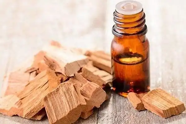 خواص روغن صندل برای مردان و زنان و پوست و مو و کبد چرب