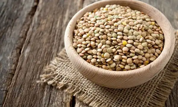 عوارض عدس خیراندیش در طب سنتی برای مردان و زنان