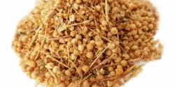 عوارض افتیمون خیراندیش در طب سنتی برای مردان و زنان