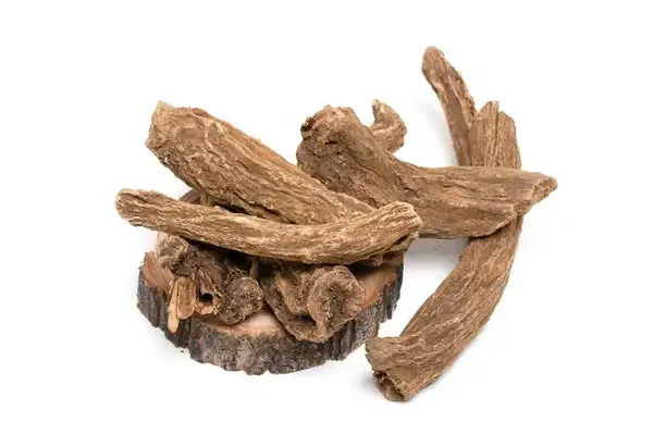 عوارض اگیر ترکی خیراندیش در طب سنتی برای مردان و زنان