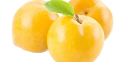 عوارض آلو قطره طلا خیراندیش در طب سنتی برای مردان و زنان