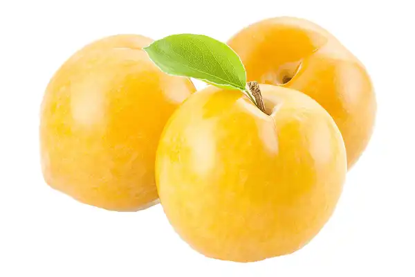 عوارض آلو قطره طلا خیراندیش در طب سنتی برای مردان و زنان