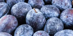 عوارض آلو سیاه خیراندیش در طب سنتی برای مردان و زنان