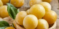 عوارض آلو زرد خیراندیش در طب سنتی برای مردان و زنان