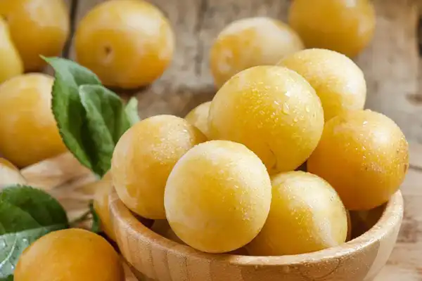 عوارض آلو زرد خیراندیش در طب سنتی برای مردان و زنان