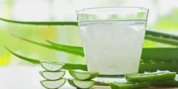 عوارض آلوورا خیراندیش در طب سنتی برای مردان و زنان