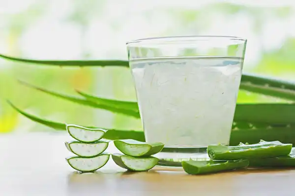 عوارض آلوورا خیراندیش در طب سنتی برای مردان و زنان
